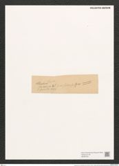 Navicula fusca var. subexcisa Grun. (de-Toni-Nr.: Genus 1, Species 292) Zeichnungen Sammlung Grunow (NHMW-BOT-W0367031)